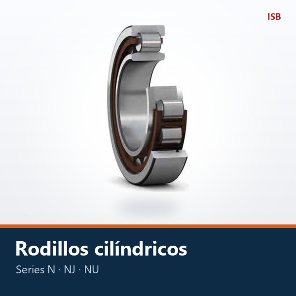 RODAMIENTO DE RODILLOS CILÍNDRICOS (N, NJ, NU)