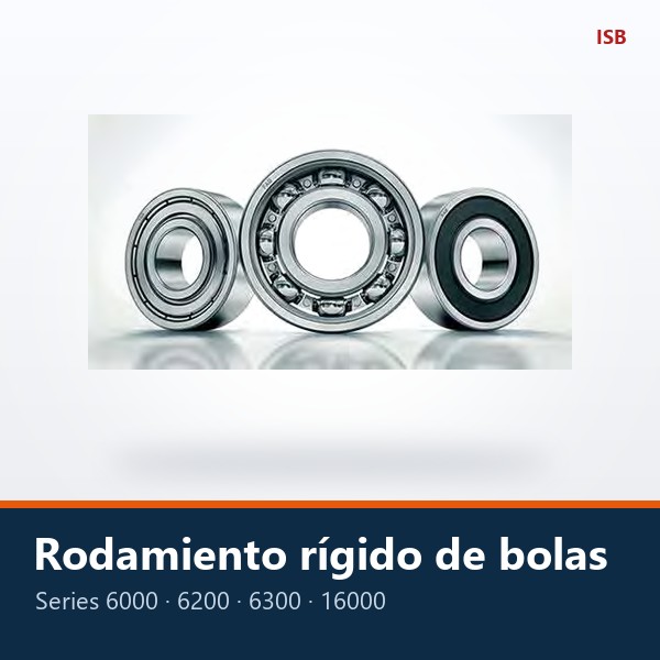 RODAMIENTO RÍGIDO DE BOLAS (6000, 6200, 6300, 16000)